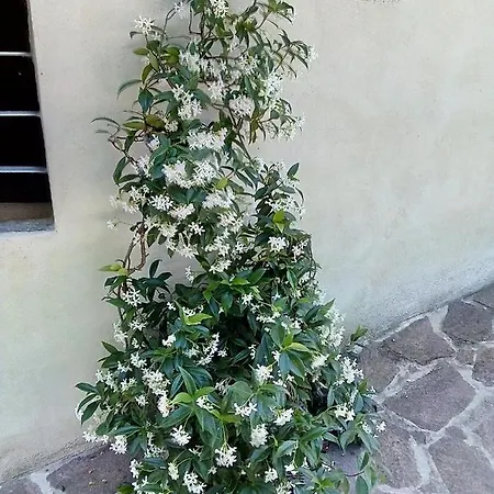 La Casa Nel Bosco * Frontone